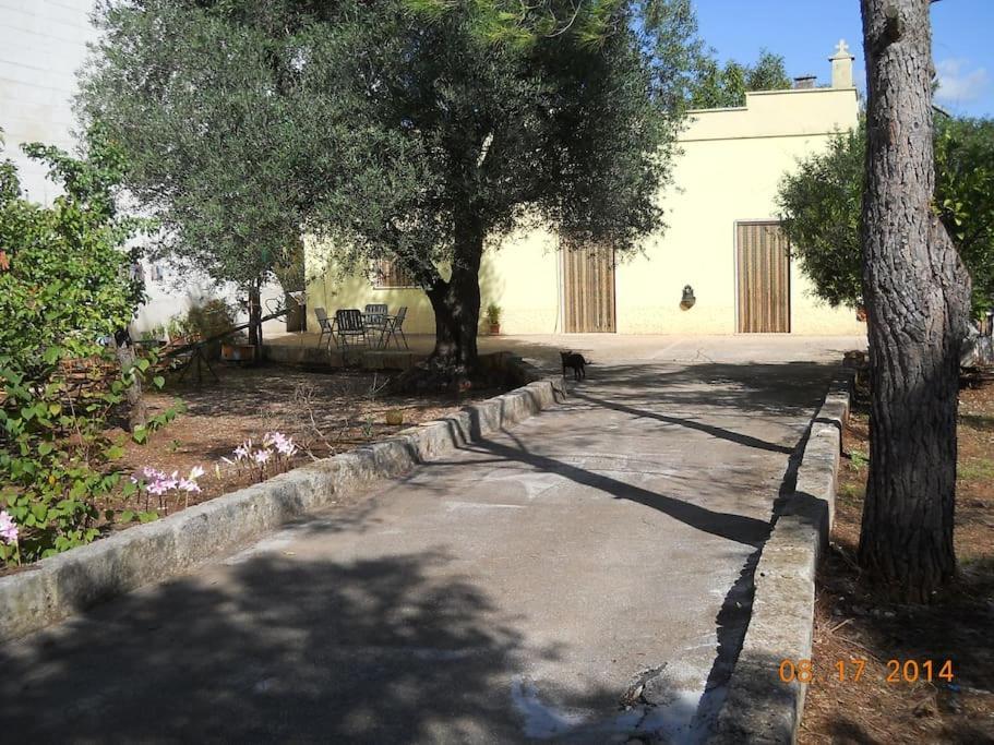 Conte 2 Indipendente In Salento Holiday home Francavilla Fontana